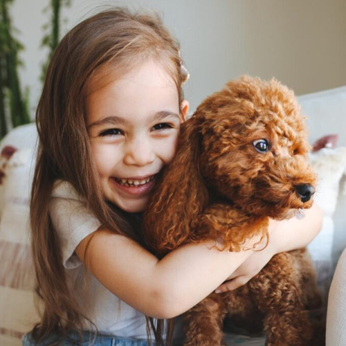 Young girl smiling while hugging brown poodle puppy indoors.